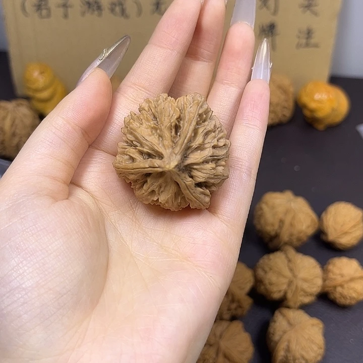 云***客菩提籽类三棱奔有黄尖