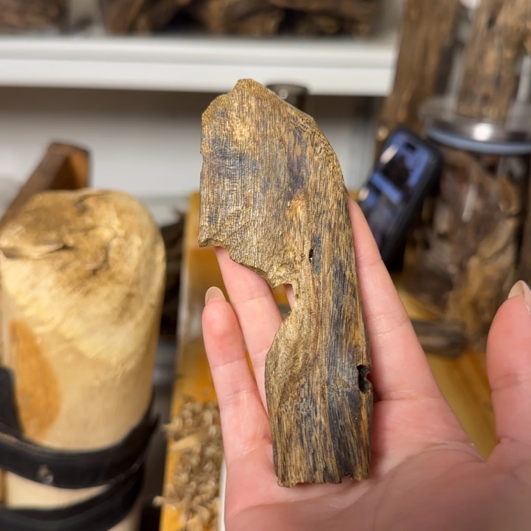 沉香白奇虫漏香16克