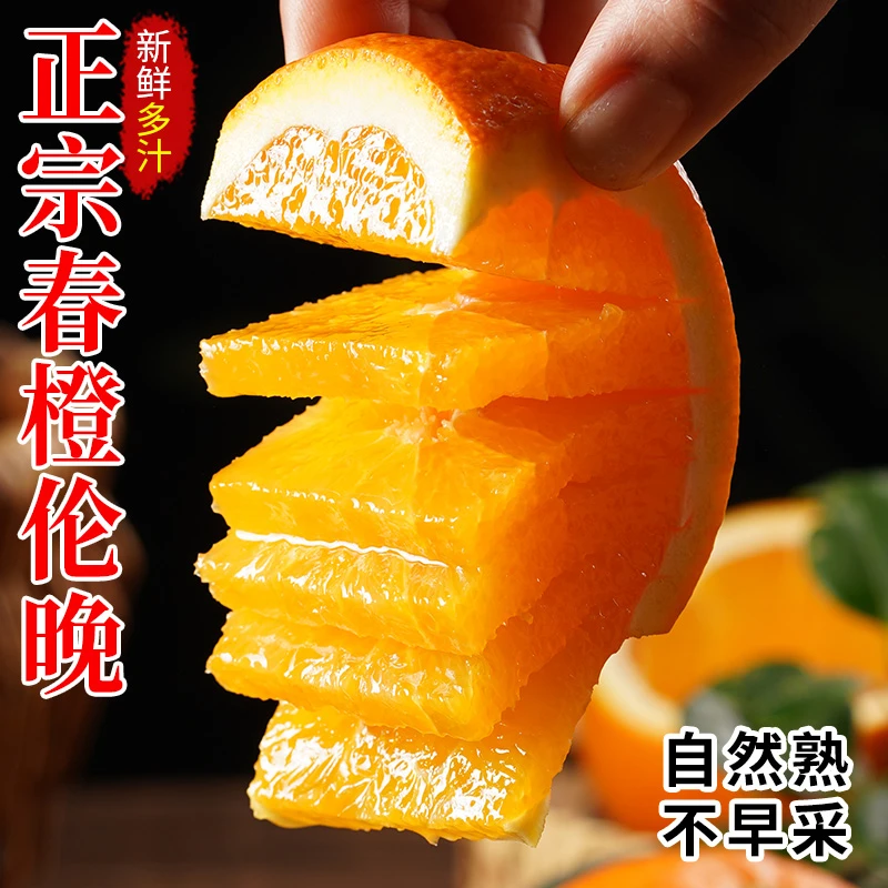 秭归伦晚春橙新鲜时令水果现摘甜橙农家自种5/9斤高山橙子应当季