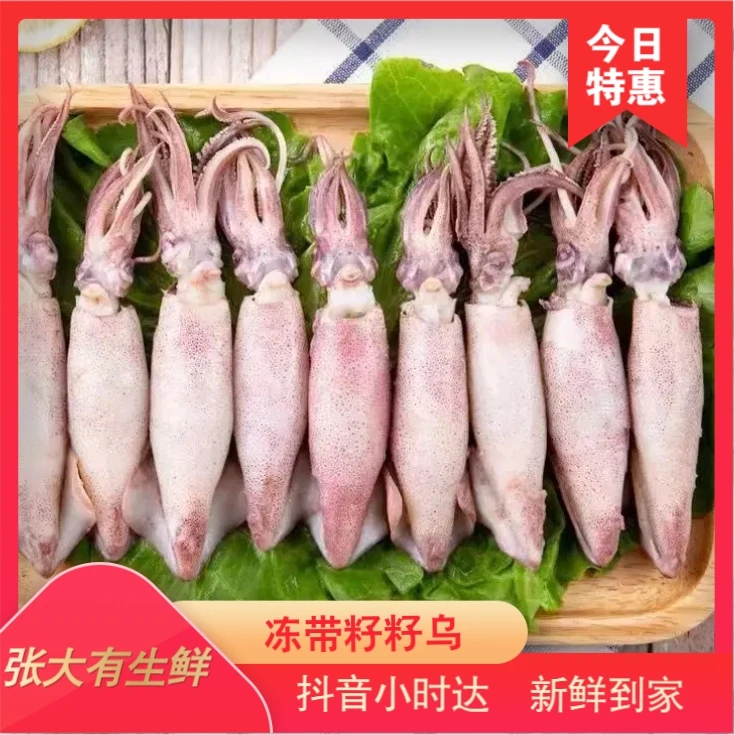 籽乌