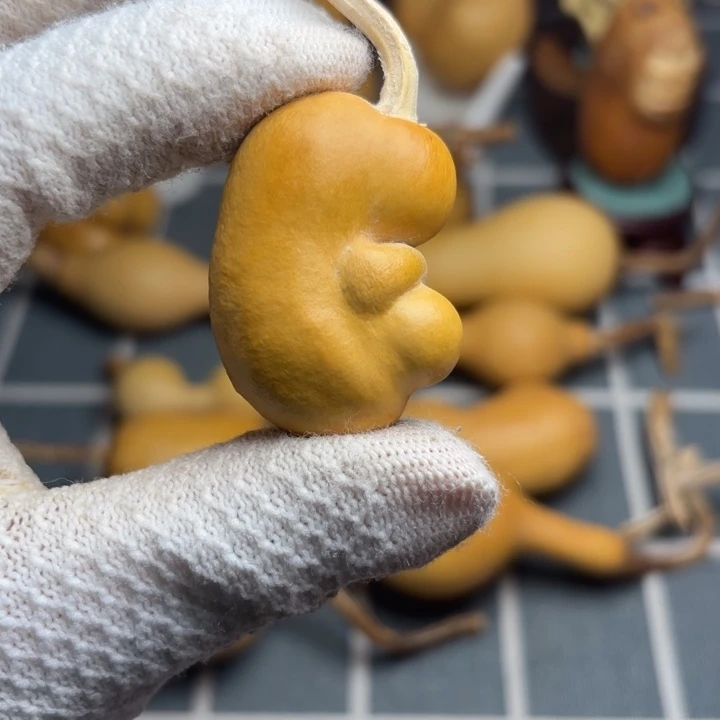 二***哥66666666666666666