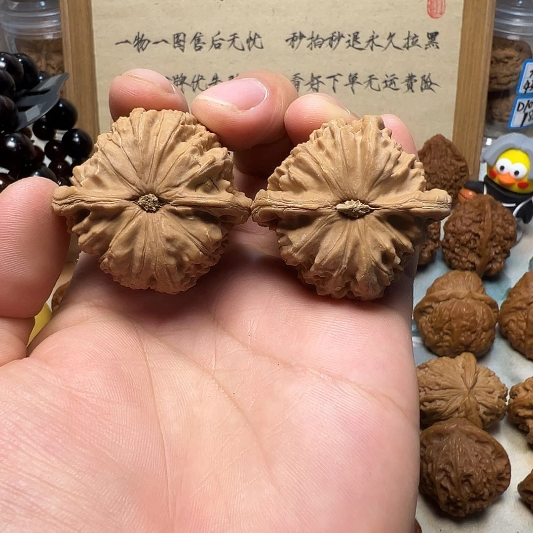 不***笑文玩核桃41尺白狮子