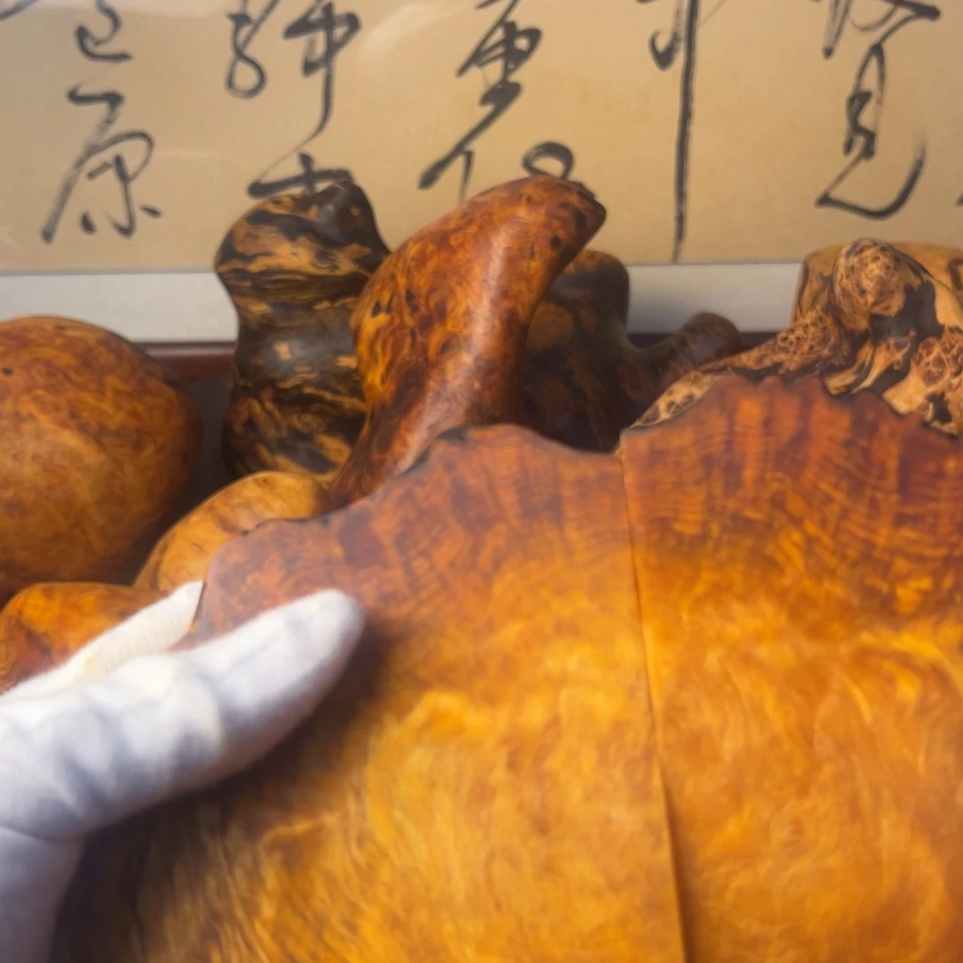 用***5琥珀木长白山琥珀木