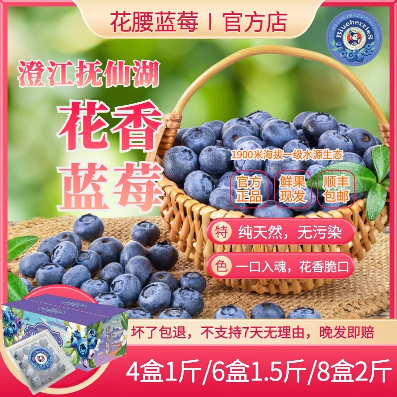 【皇阿哥专属】云南抚仙湖 盒装 花香25 蓝莓果