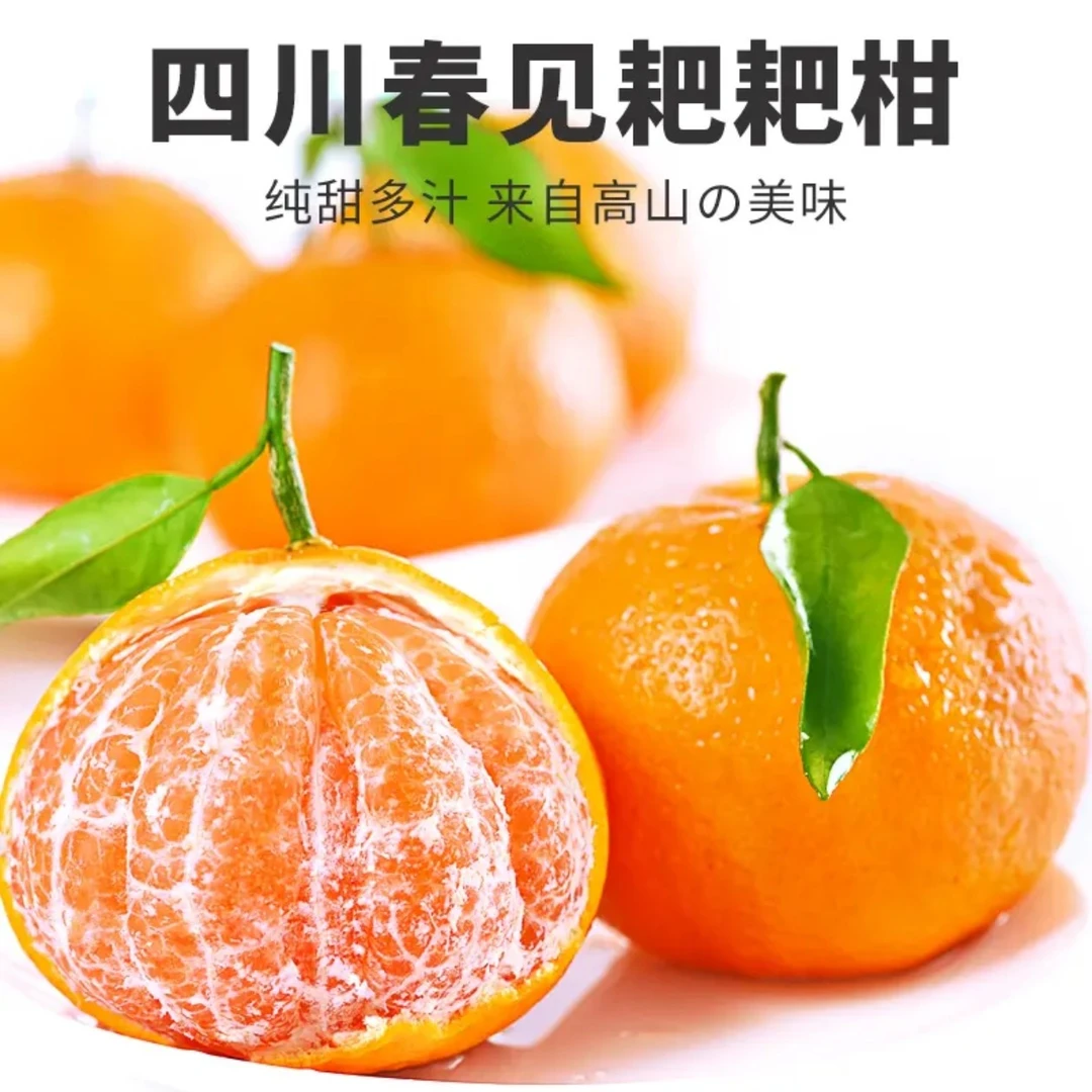 【新宁甄选】四川开江春见耙耙柑正宗水果新鲜整箱当季