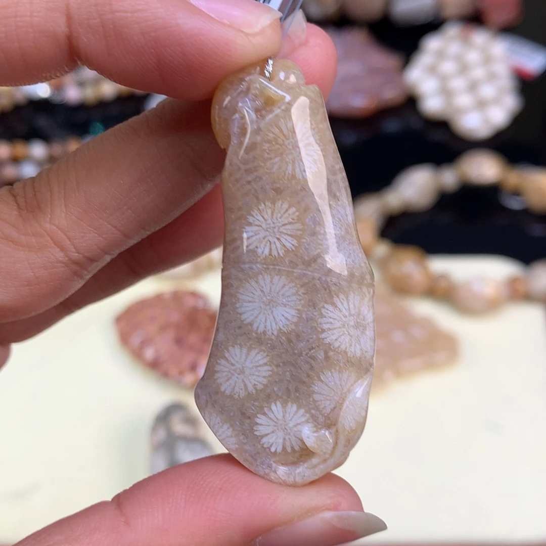 【闪购商品】颈饰未镶嵌硅化珊瑚（珊瑚玉）103号节节高升