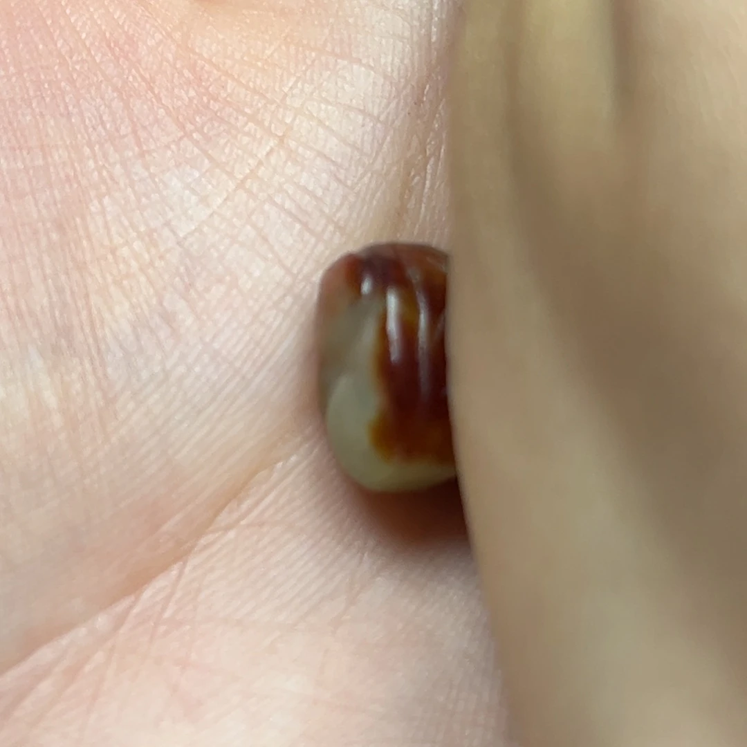 手链未镶嵌透闪石质玉朋****1