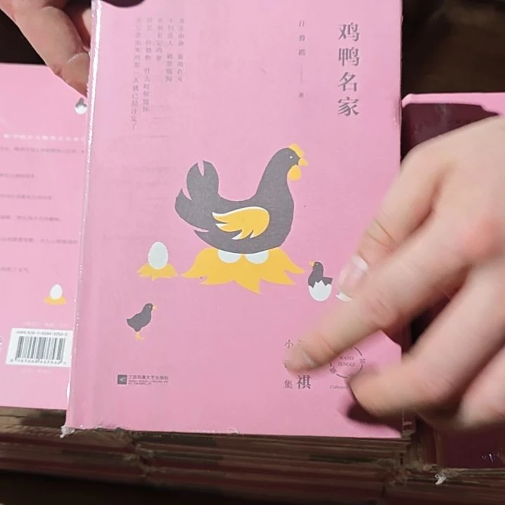 鸡鸭名家精装库存书微瑕汪曾祺