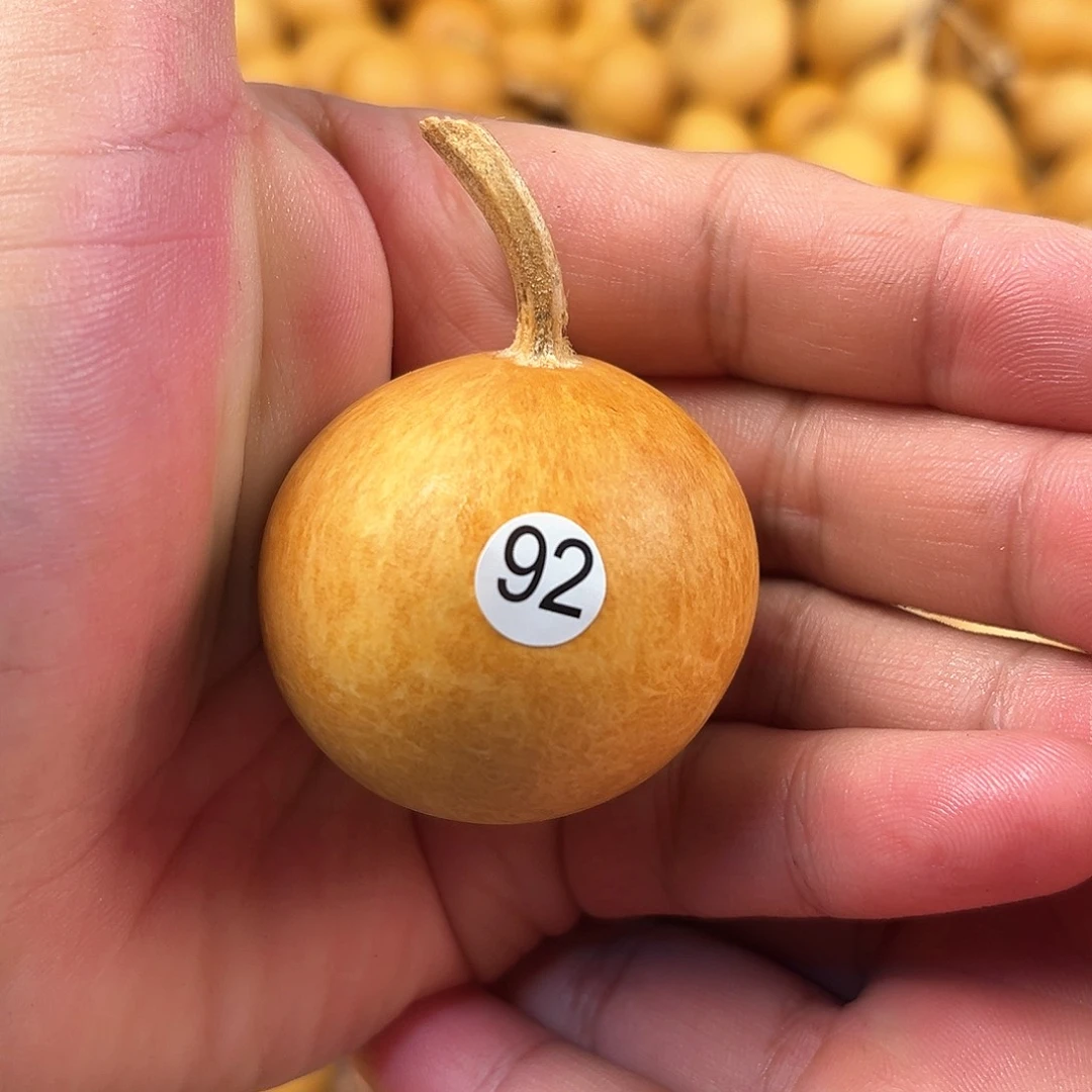 五葫芦葫芦葫芦葫芦92