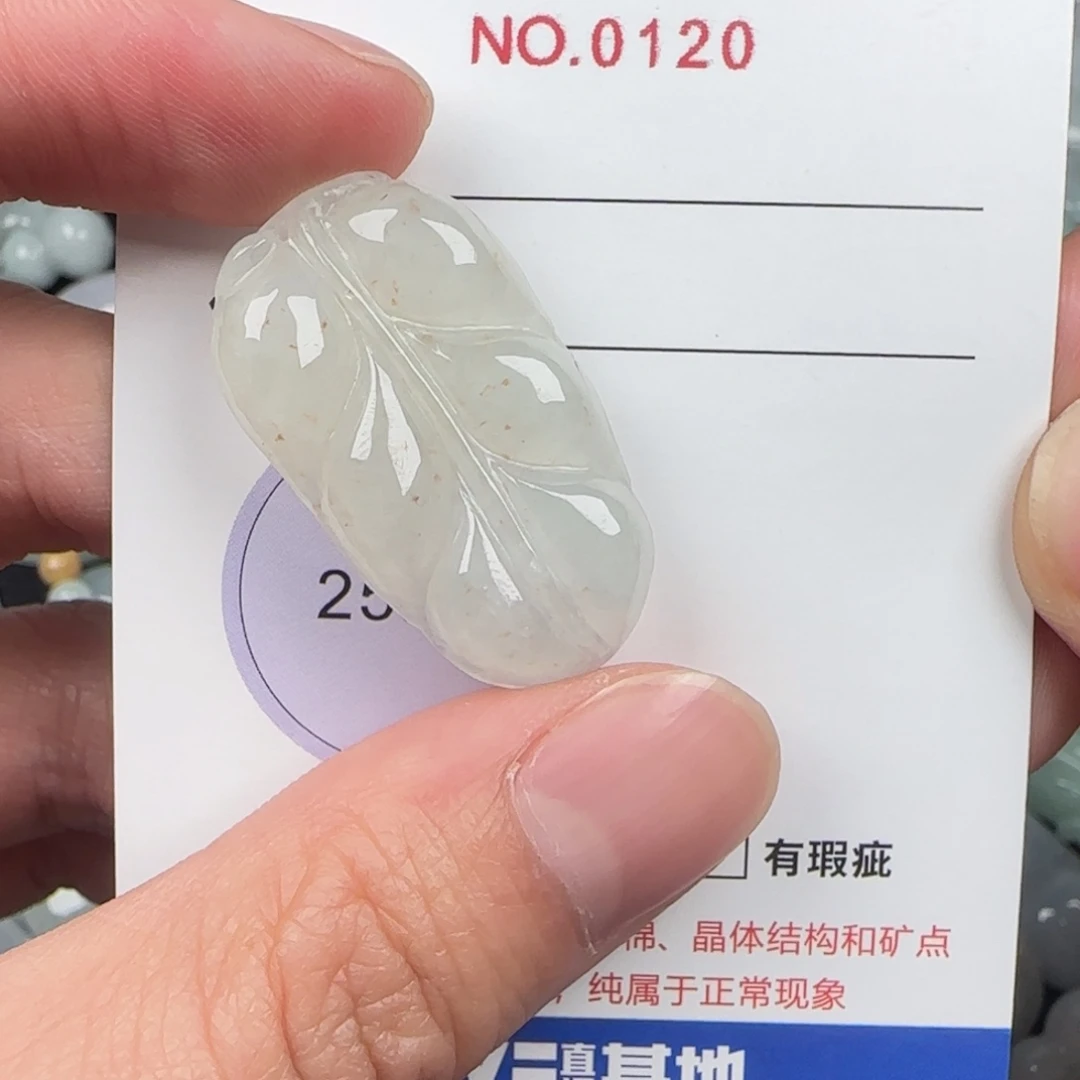 翡翠未镶嵌颈饰120