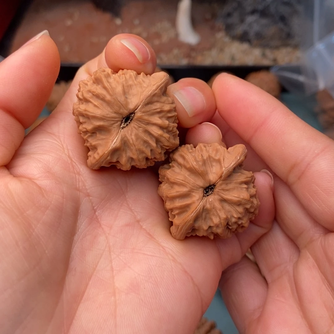 文玩核桃吊坠野生未知6