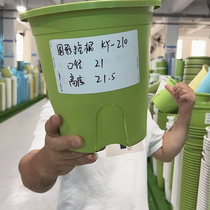 正品圆控口21高21果绿无托8只