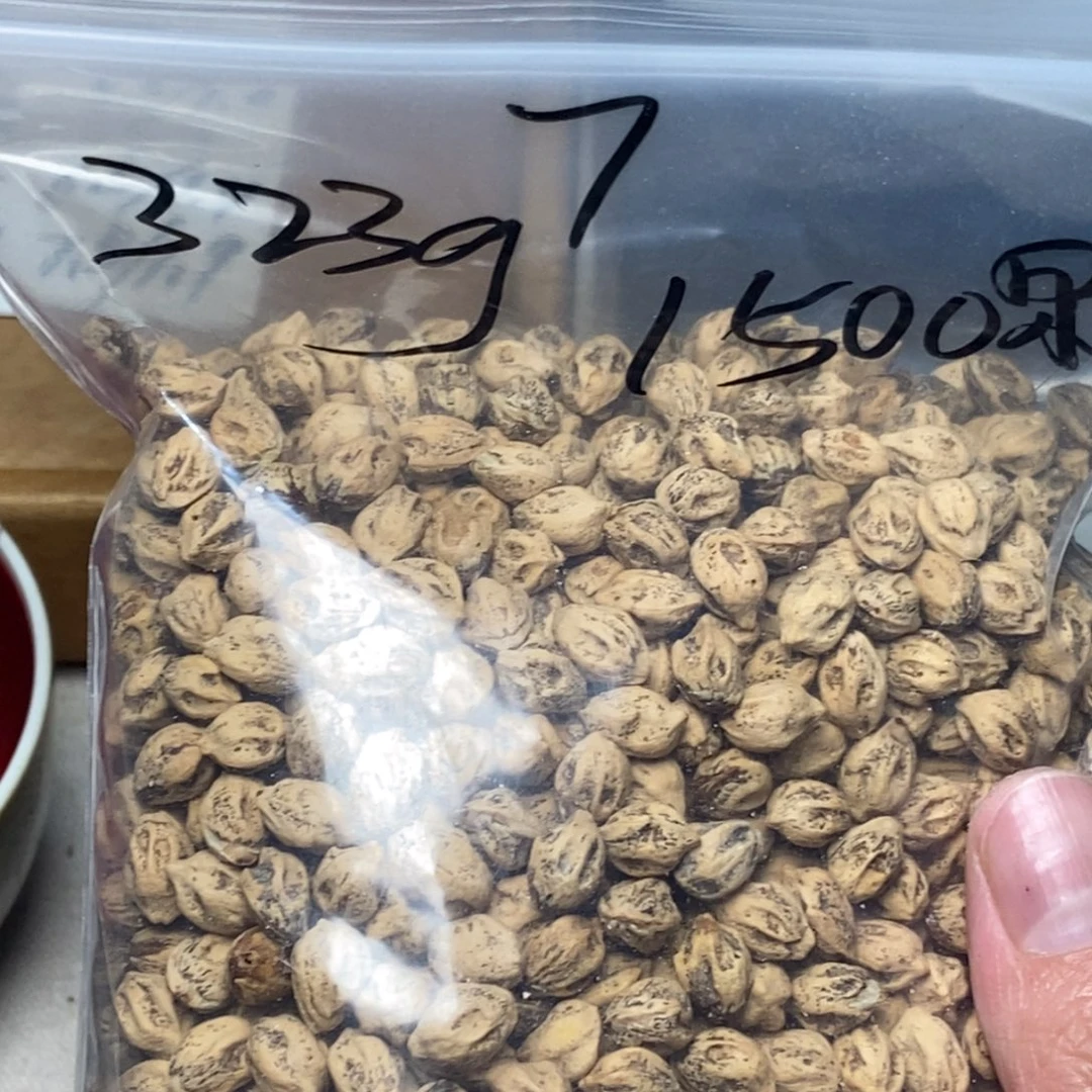 柏香籽/百香籽吊坠