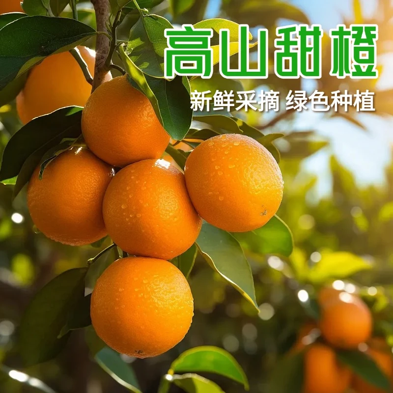 正宗江西高山脐橙新鲜现摘甜橙当季精品水果
