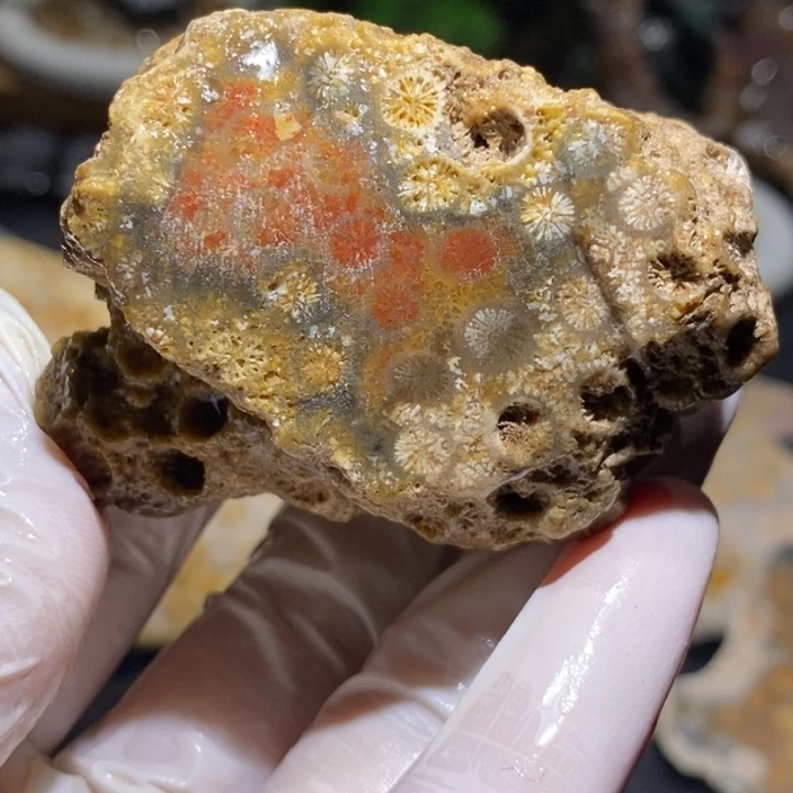 【闪购商品】未镶嵌珊瑚玉硅化玉