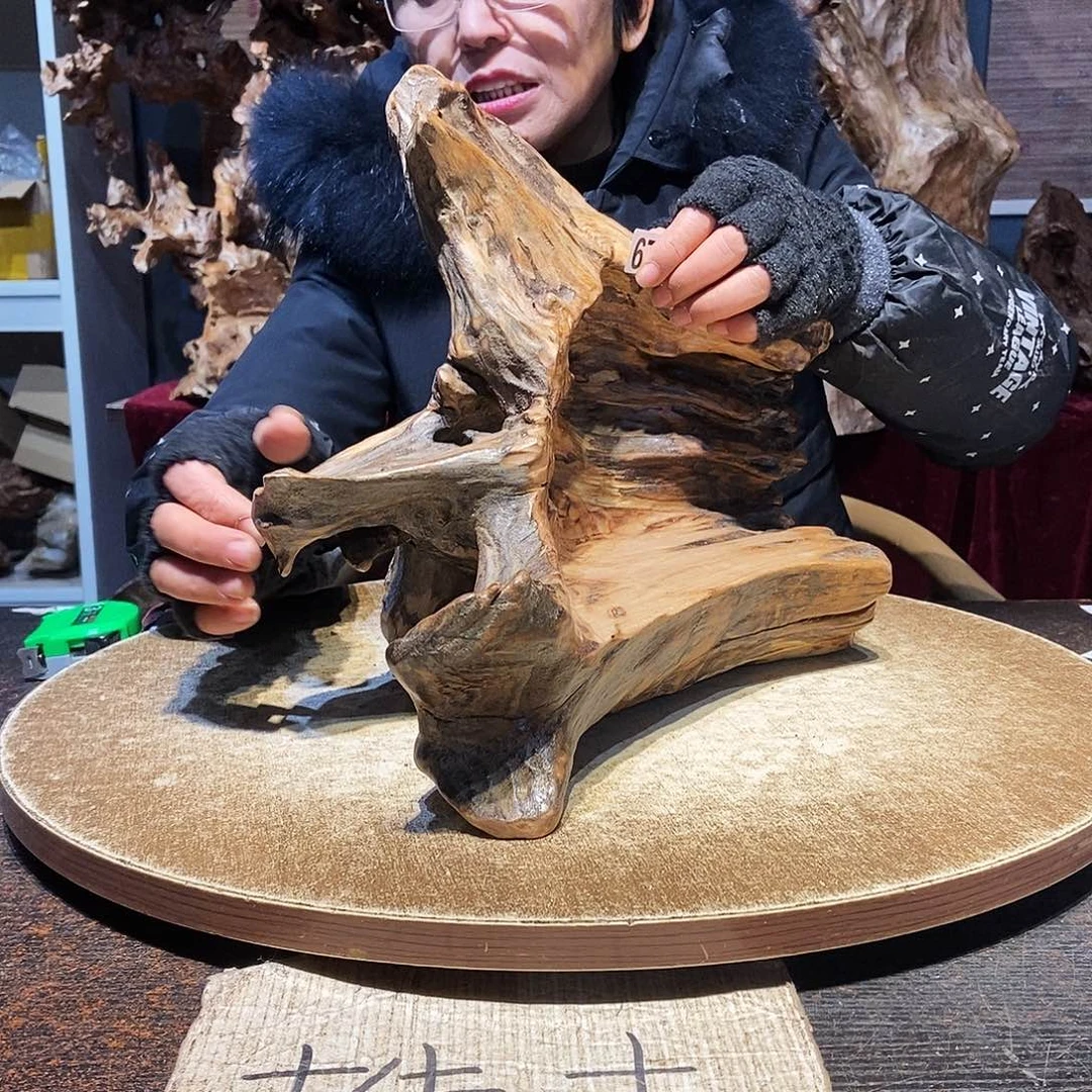 邻***师672。株木随行根艺