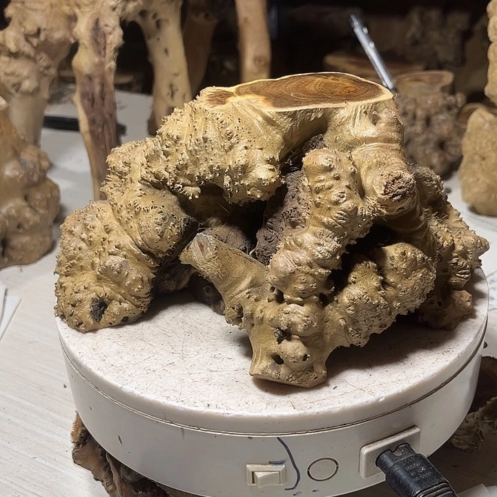 香榧木麻梨疙瘩点点滴滴