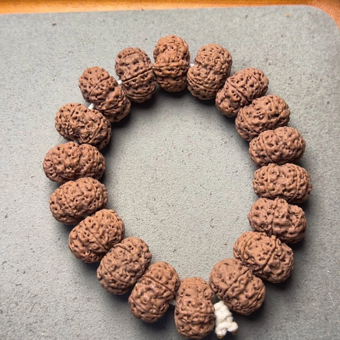 菩提3号金刚菩提夹板六瓣22+