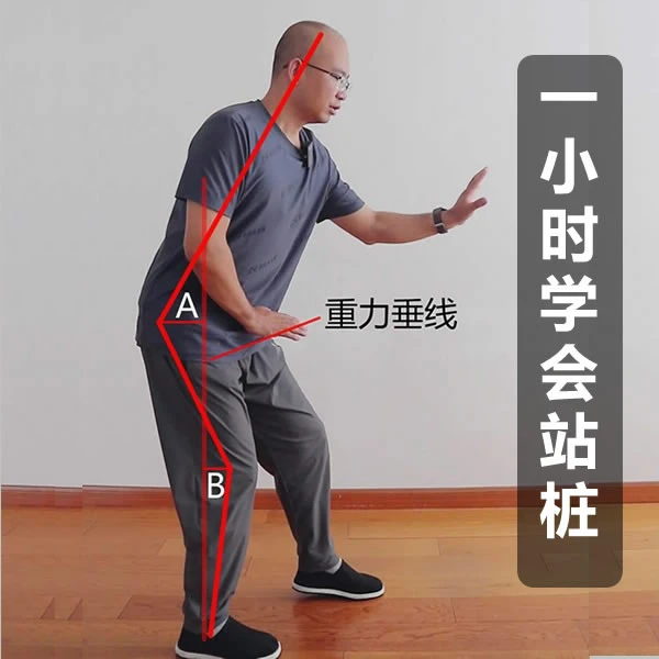科学站桩线上视频课