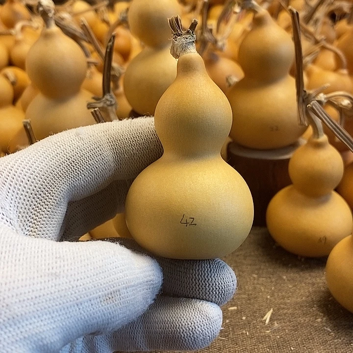 文玩葫芦 完美主义者 慎拍42