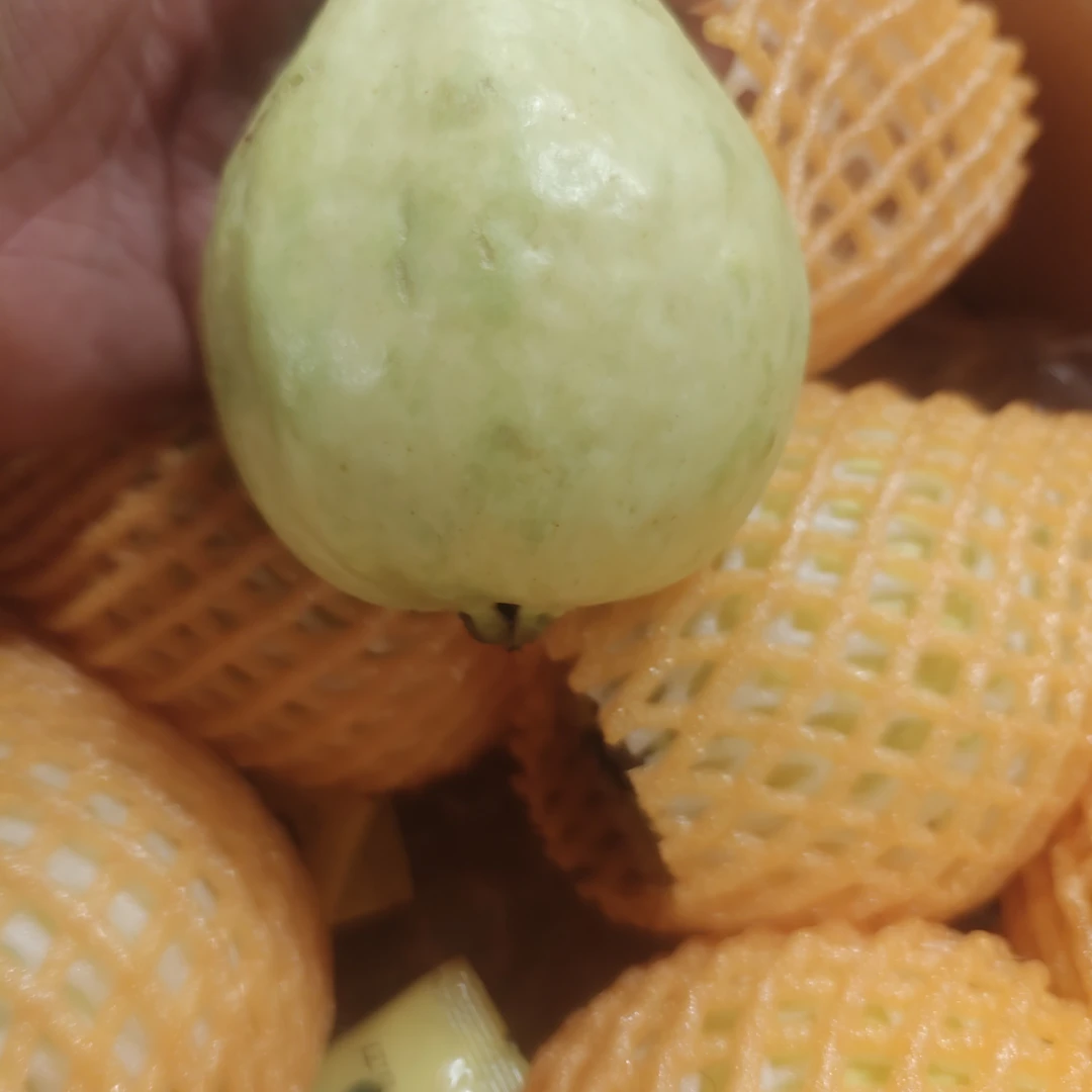 白芭乐。带箱5斤。