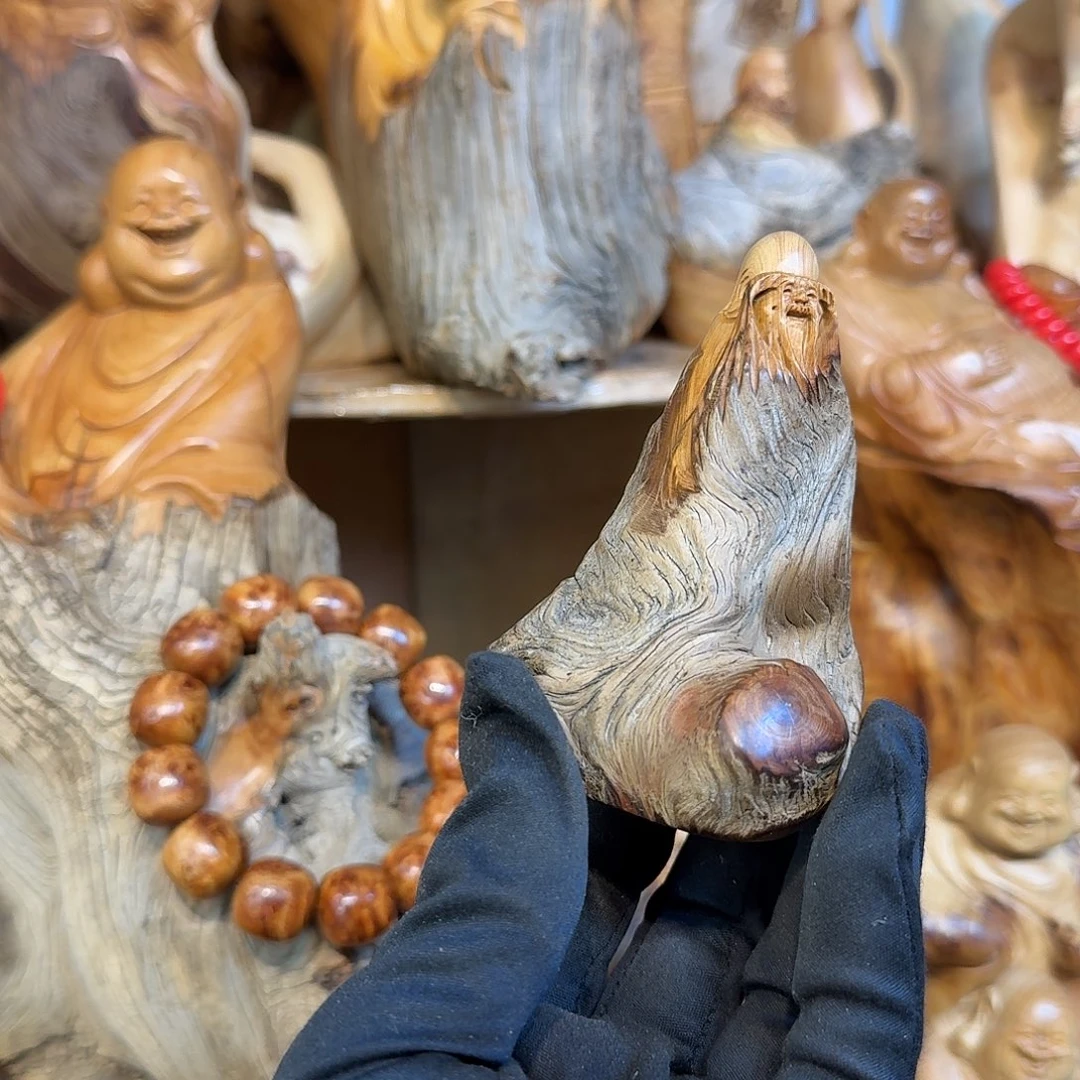 柏木（崖柏）666666666