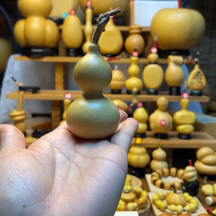 水***寒天然葫芦自然生长