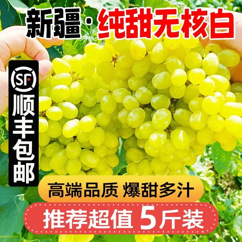 【新疆无核白葡萄】无籽青提水晶葡萄马奶提 顺丰/京东 0.5-5斤装