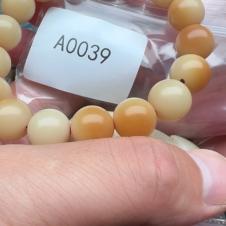 手串菩提根/象牙果