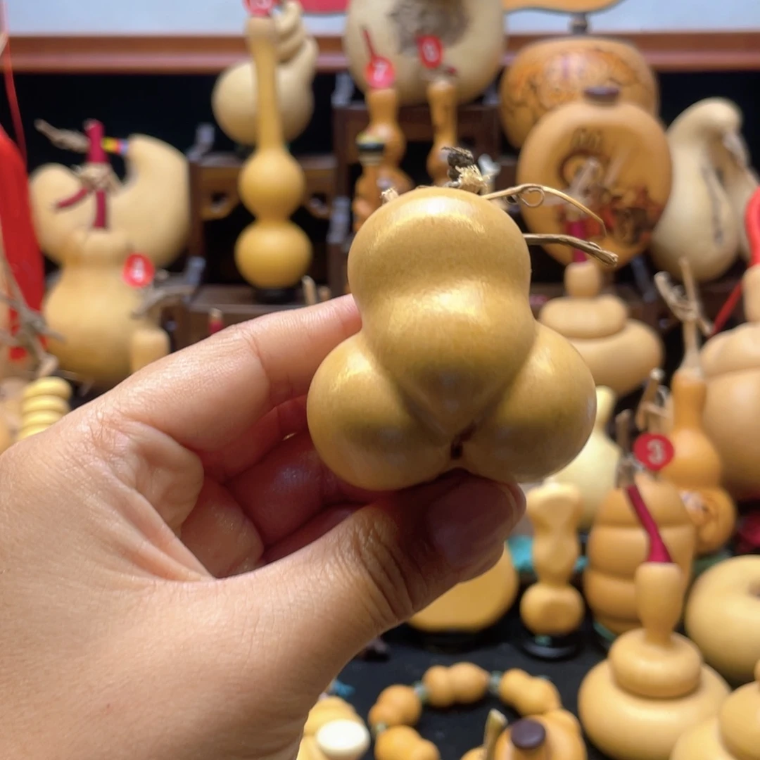 正**念大自然的秘密第十一节的