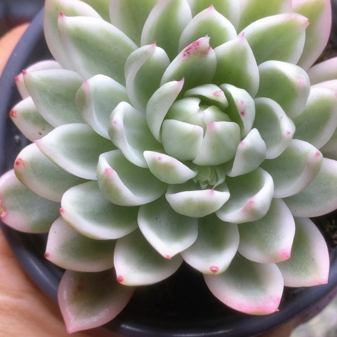 D037哈哈哈哈哈哈哈哈哈哈哈