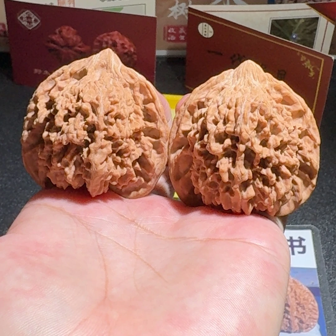 满天星全品编号248