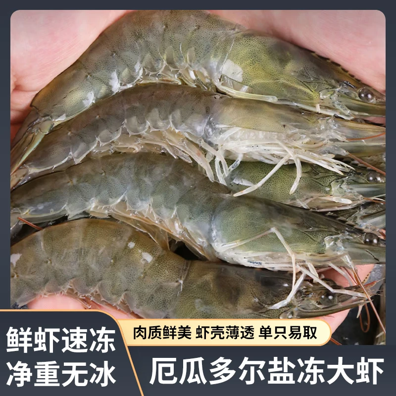 厄瓜多尔盐冻南美白虾20/30海鲜鲜活速冻1.65KG/盒