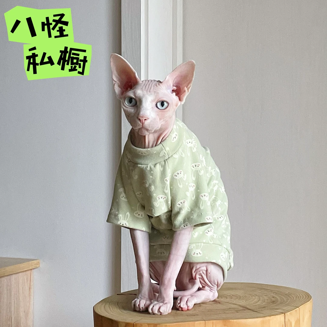 手工制作无毛猫德文猫秋季德绒纯棉亲肤弹力透气绿色小兔子短袖