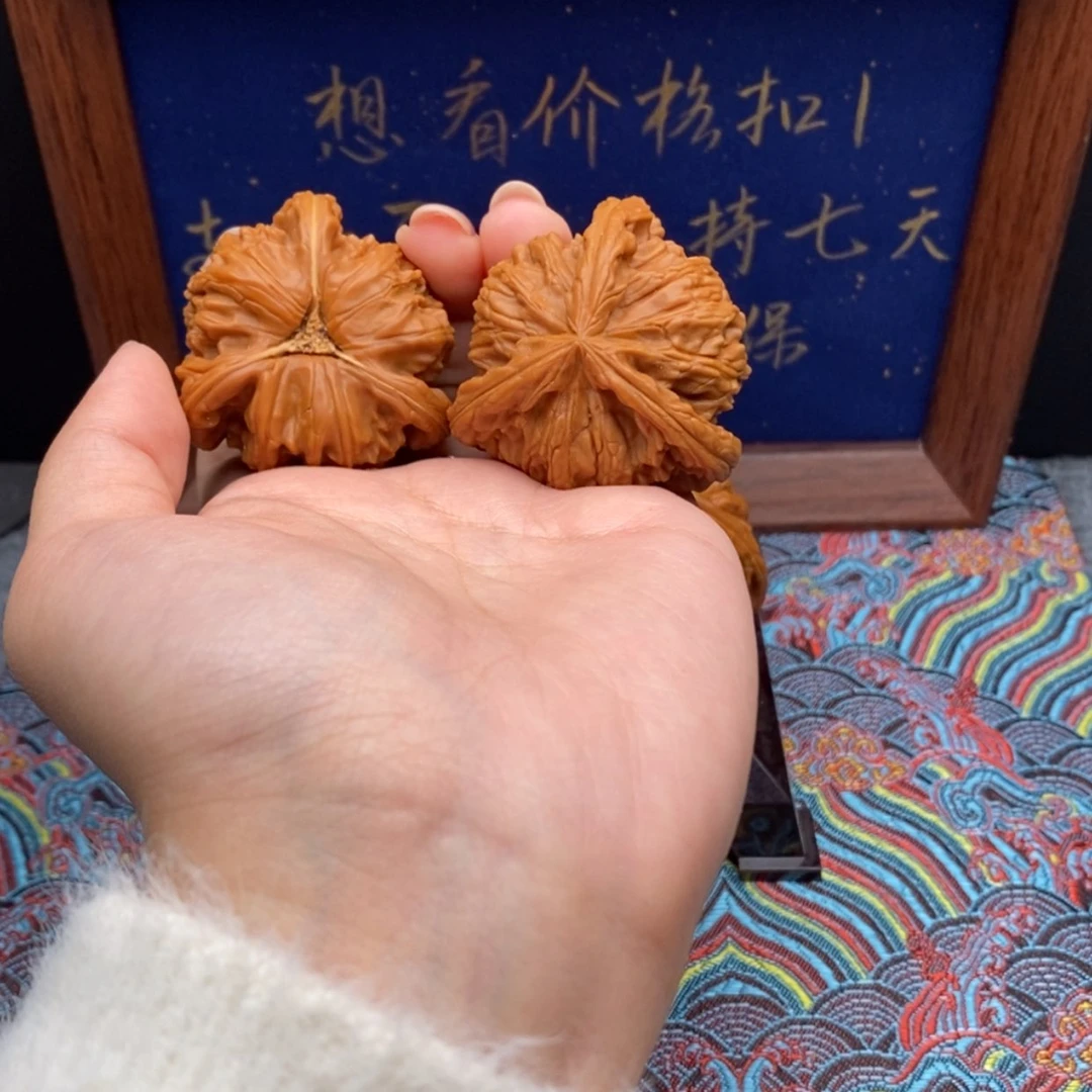 【闪购商品】小*总白狮