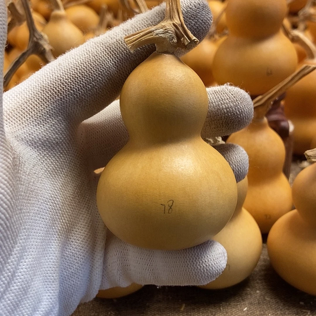 文玩葫芦 完美主义者 慎拍78