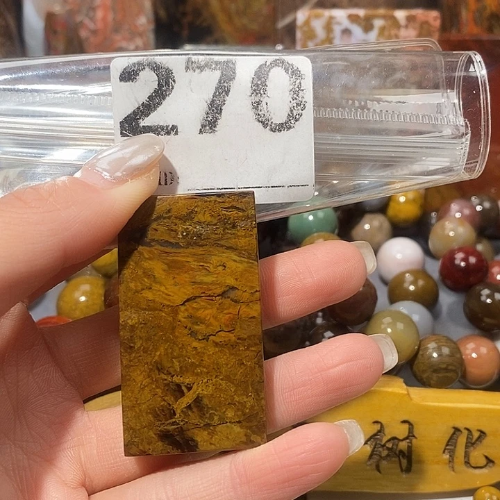 硅化玉未镶嵌天然北票树化玉吊坠