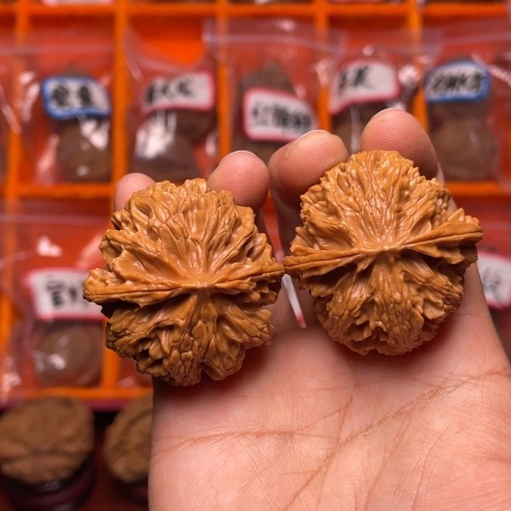 核桃苹果园核桃打底的