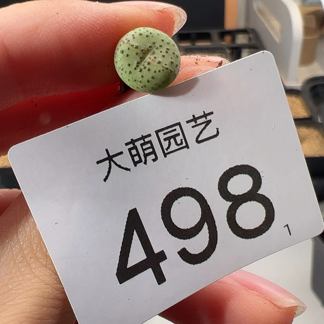 0000498 一物一拍。