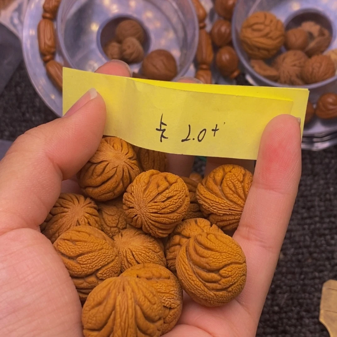 秦岭山脉龙纹桃核。13