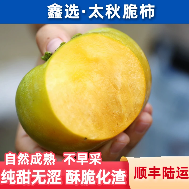 鑫选 云南太秋脆柿3-5斤 纯甜无涩酥脆化渣产地新鲜采摘 顺丰直发