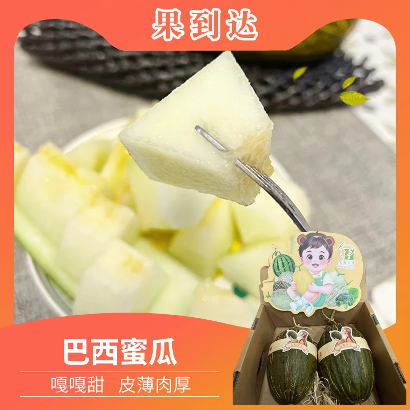 【坏果包赔】甘肃玛德琳巴西蜜瓜2颗净重7-8