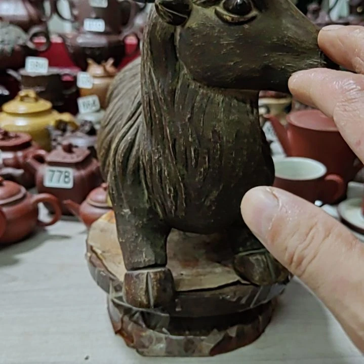 草***虹11111111111111111