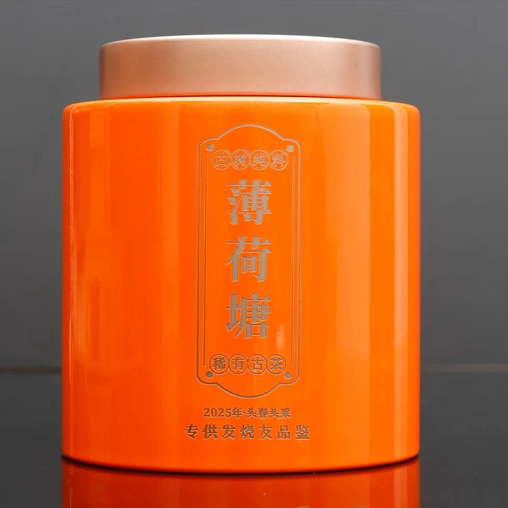 易江号2025年头春选料【薄荷塘-3g龙珠】普洱生茶250g/罐