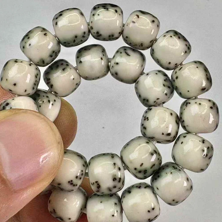【毕业级半壁河豚绿包白】原生态星月菩提8x9老型桶火龙果星