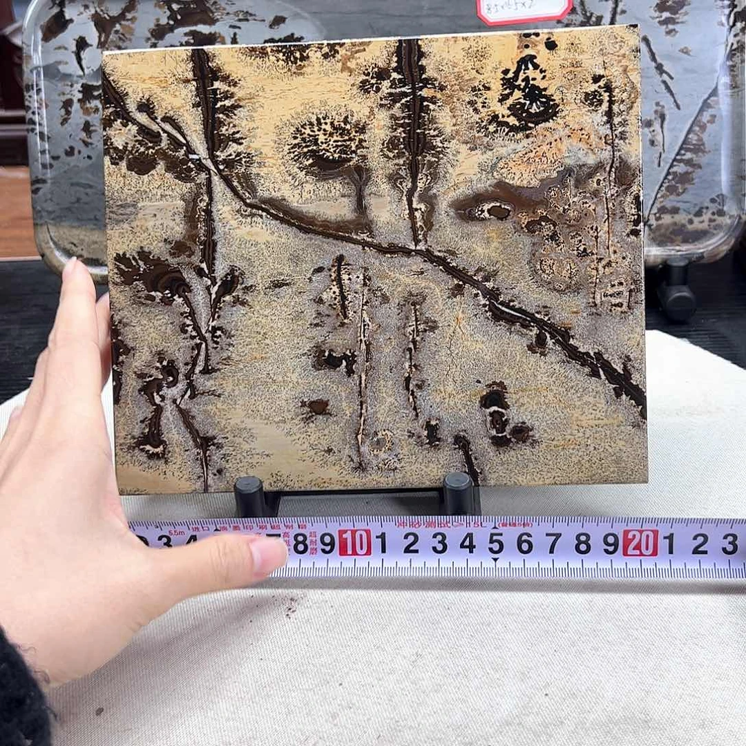 广西石天然国画石