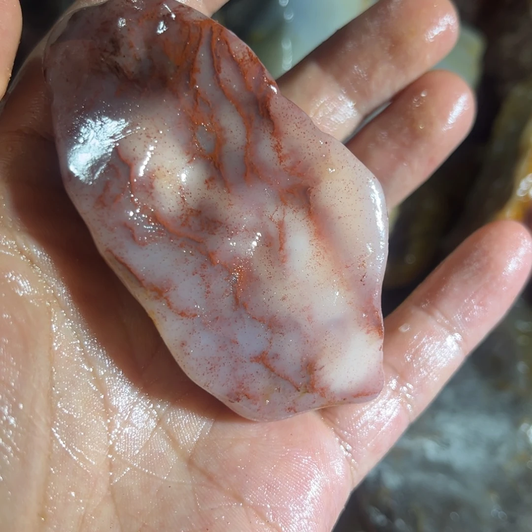 上***室寿山石8888888888888