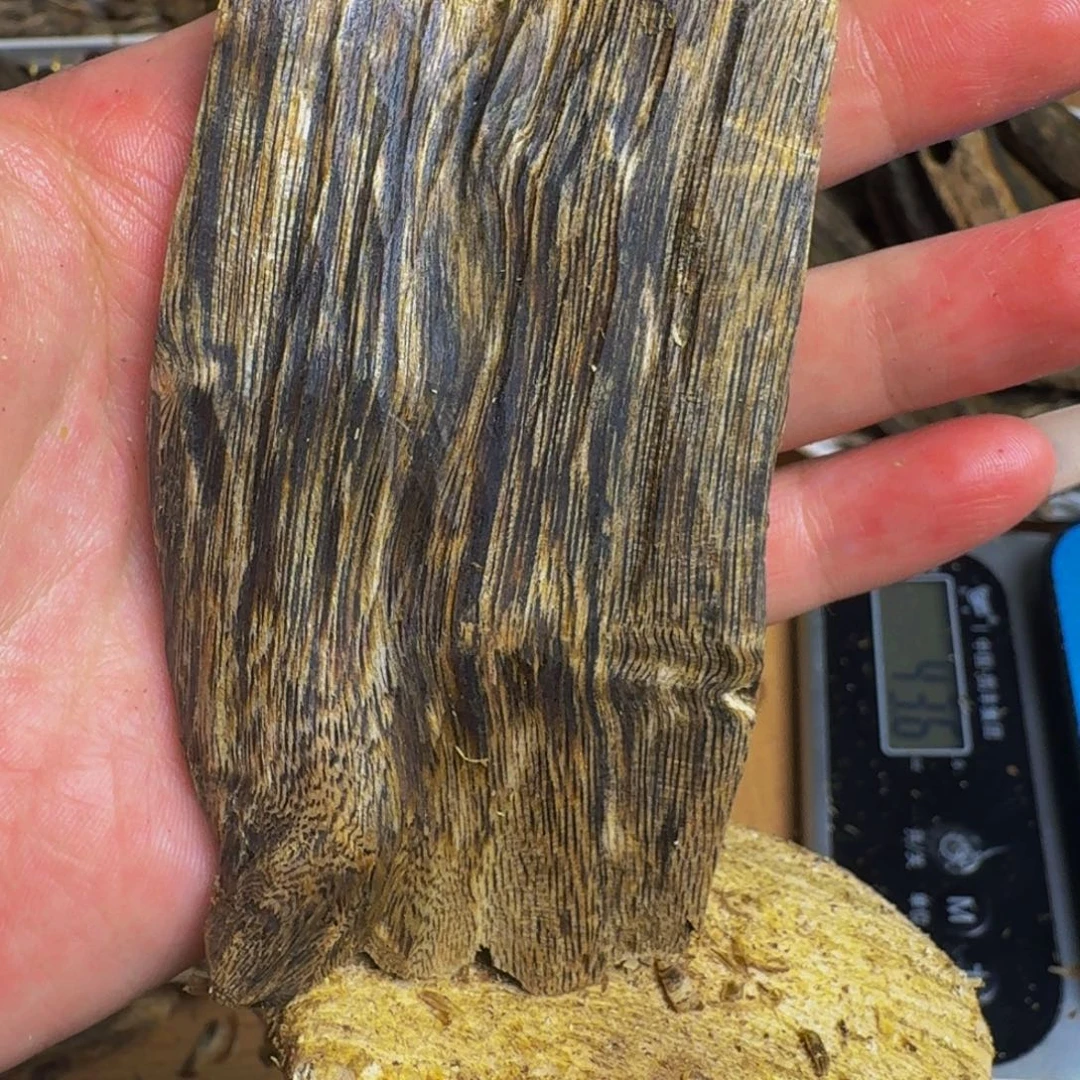 一***凡木绿棋手把件块料31克