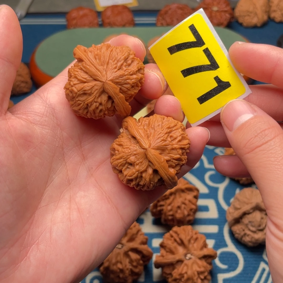 文玩核桃吊坠37.5白狮子771号