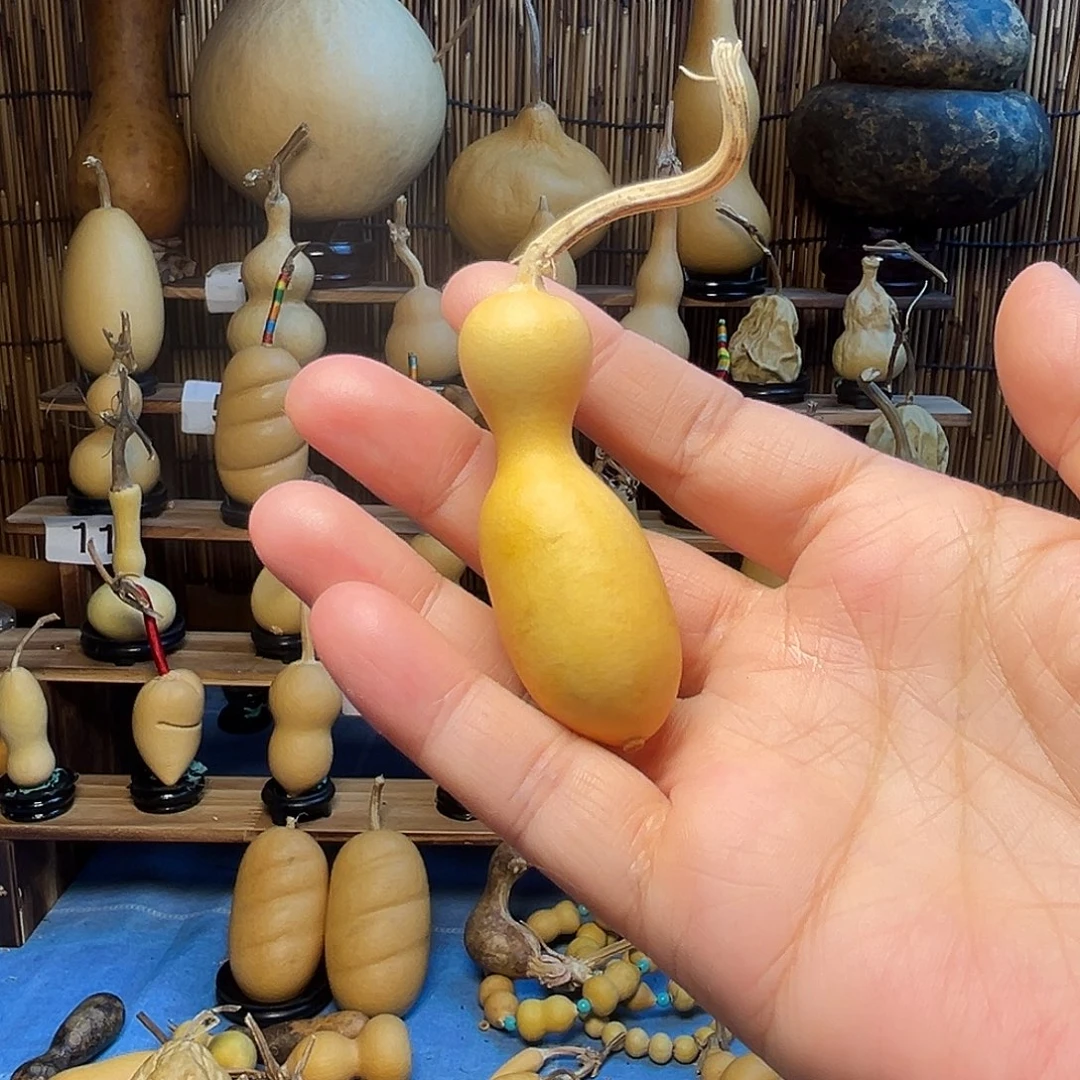 微瑕小手把未三肚9.9米包邮到家